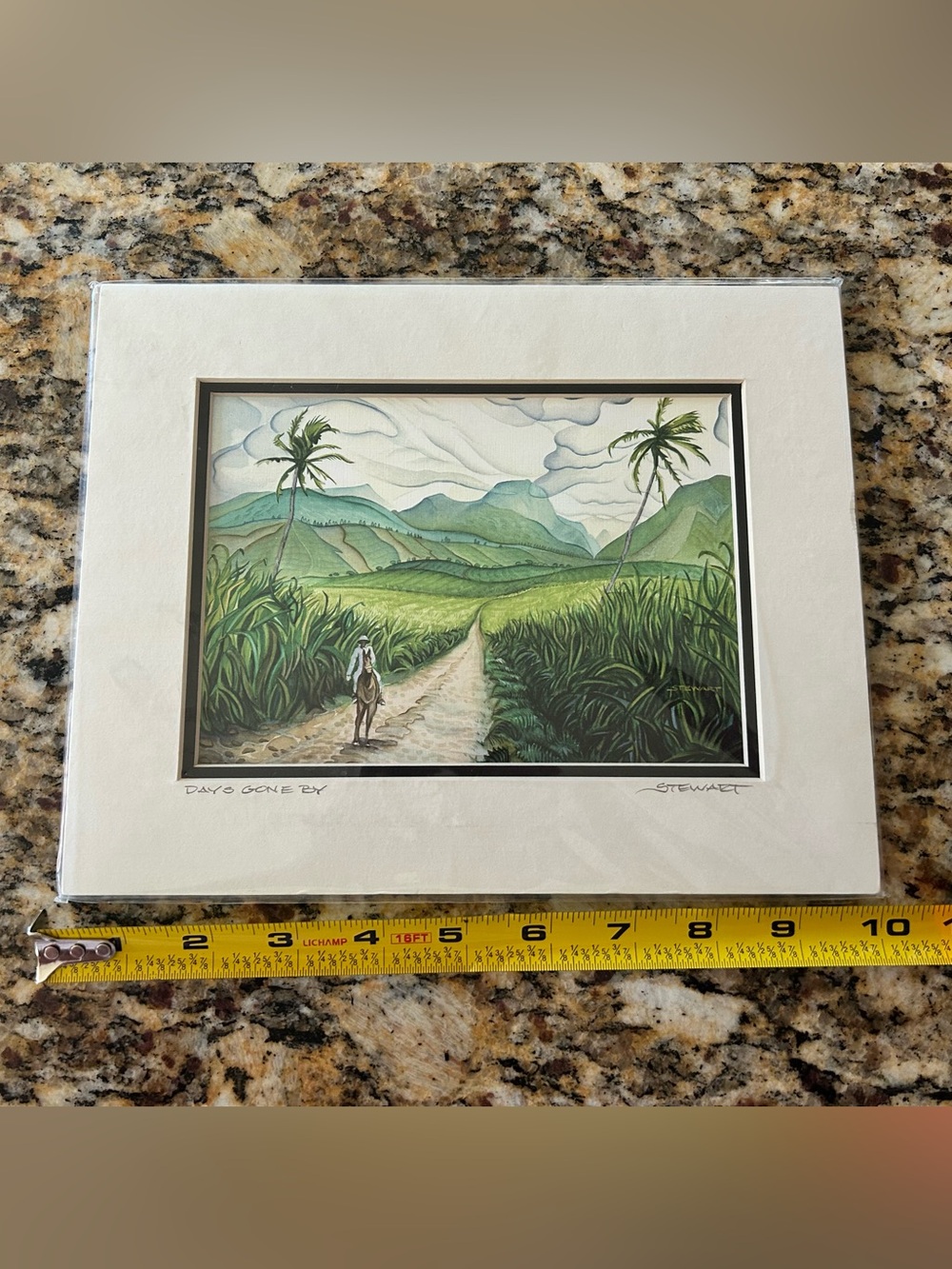 Signed Hawaiian Tropical Watercolor Wall Art - Picture 3 of 10